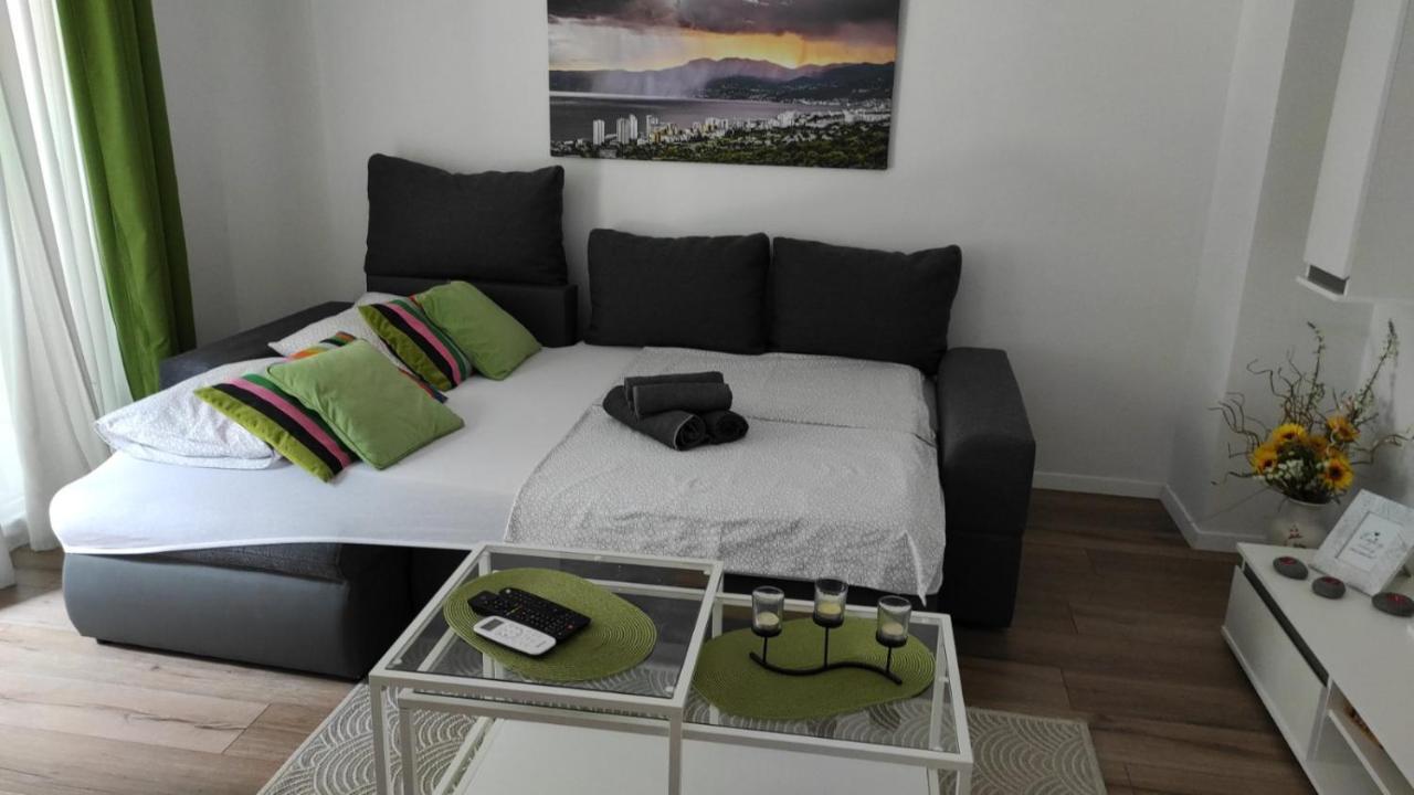 Green Corner *** Apartment Rijeka Cameră foto